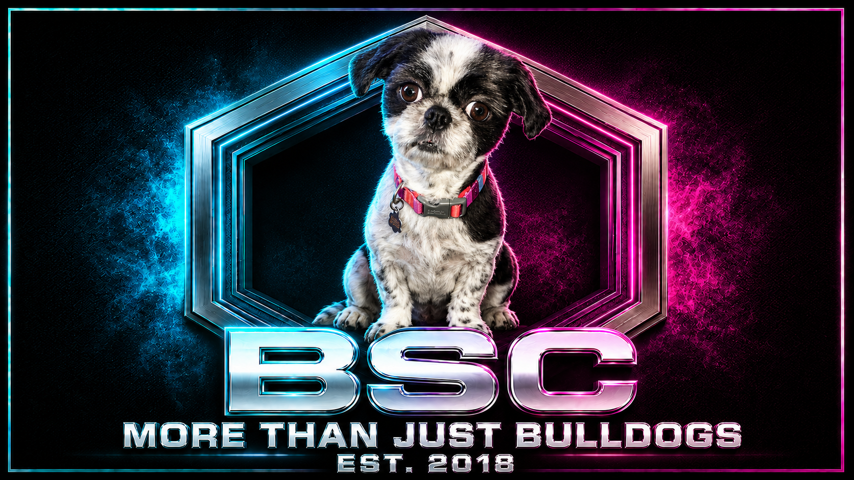BSC More Than Just Bulldogs artwork featuring a companion dog