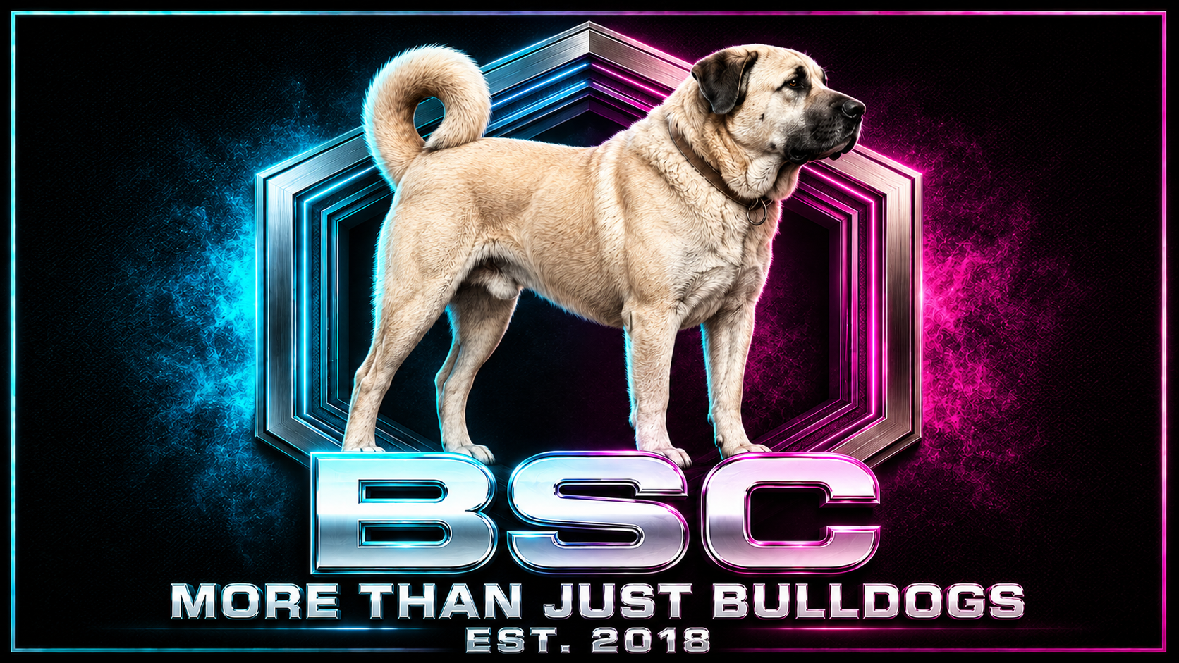 BSC More Than Just Bulldogs artwork featuring a working dog